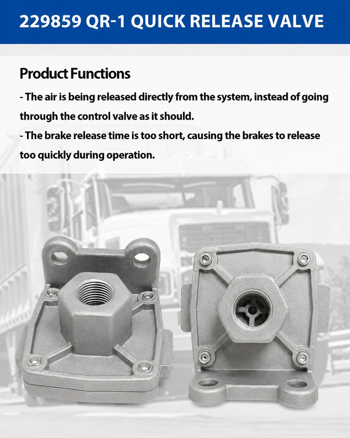 Amazon.com: 229859 Quick Release Valve 2Pack - Compatible with